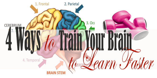 4 Ways To Train Your Brain To Learn Faster - Make Me Productive